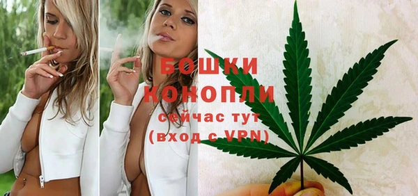 молекула духа Мегион