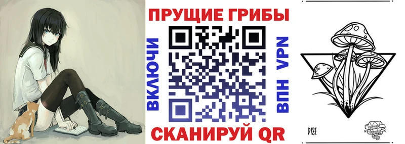 где продают наркотики  Шагонар  Псилоцибиновые грибы ЛСД 