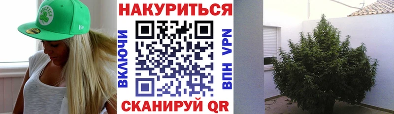 дарк нет наркотические препараты  цена   Шагонар  МАРИХУАНА план 